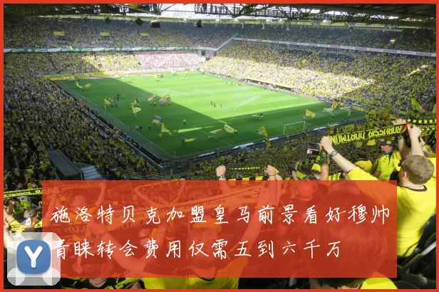 施洛特贝克加盟皇马前景看好穆帅青睐转会费用仅需五到六千万